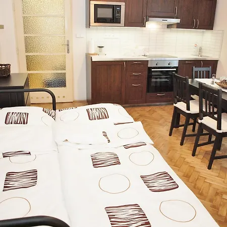 Na Parukarce Zizkov Apartment